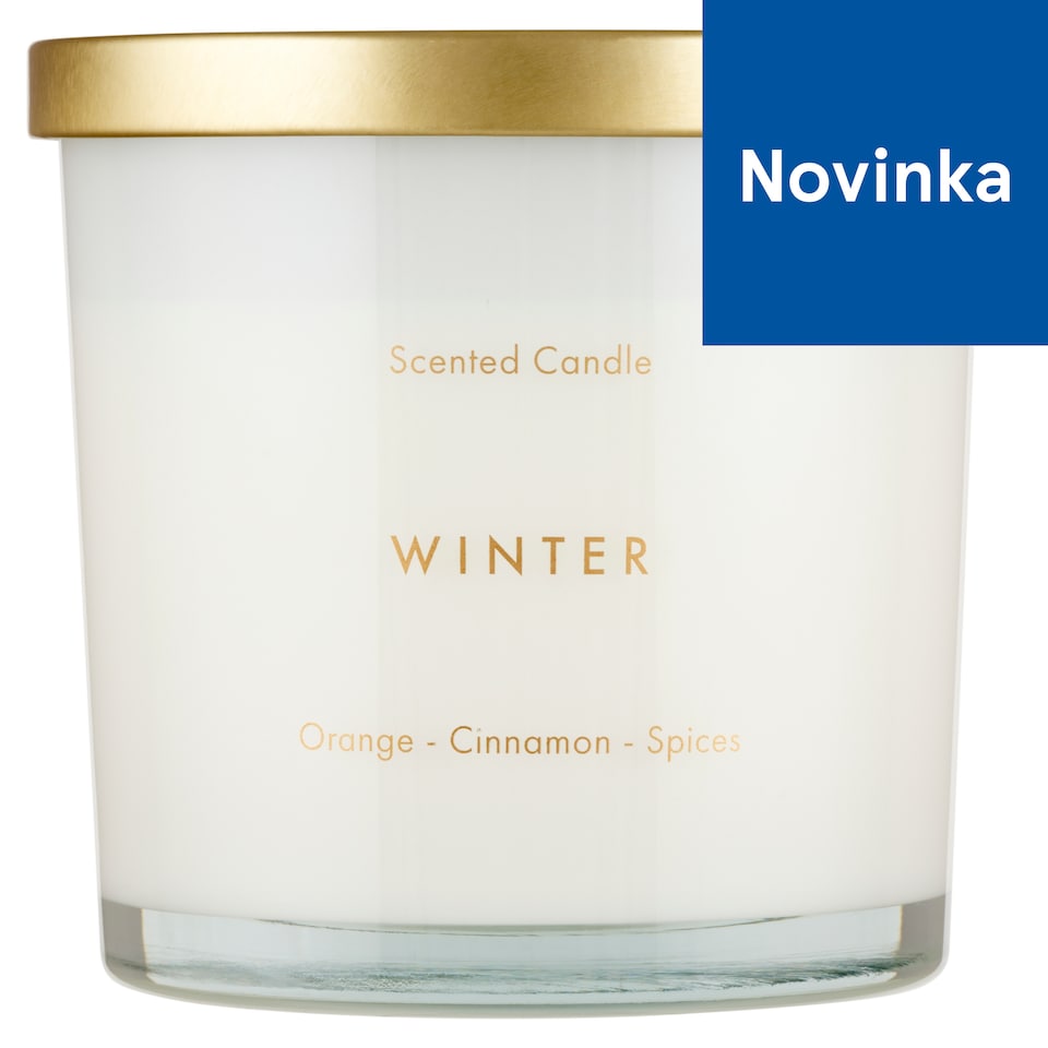 F&F Home Timeless Winter vonná sviečka 300 g