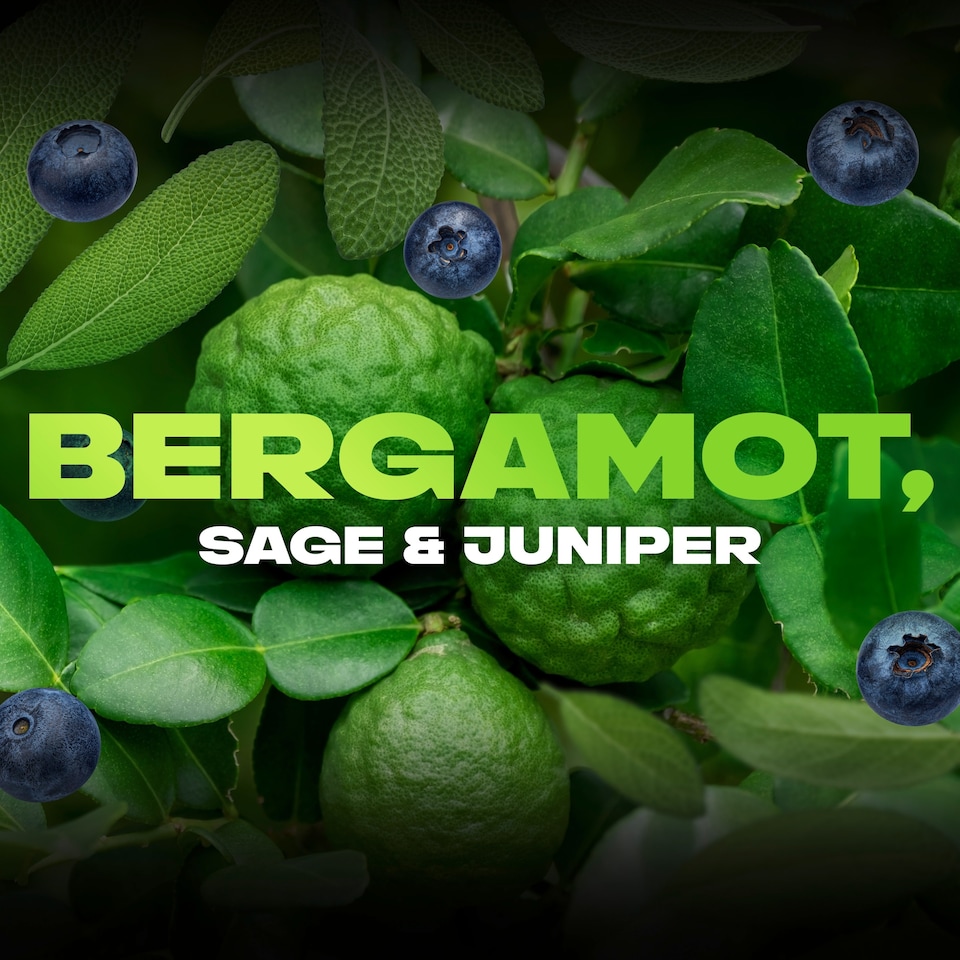 image 1 of Lynx Aqua Bergamot 72h Fine Fragrance Deodorant Bodyspray for Men 150ml