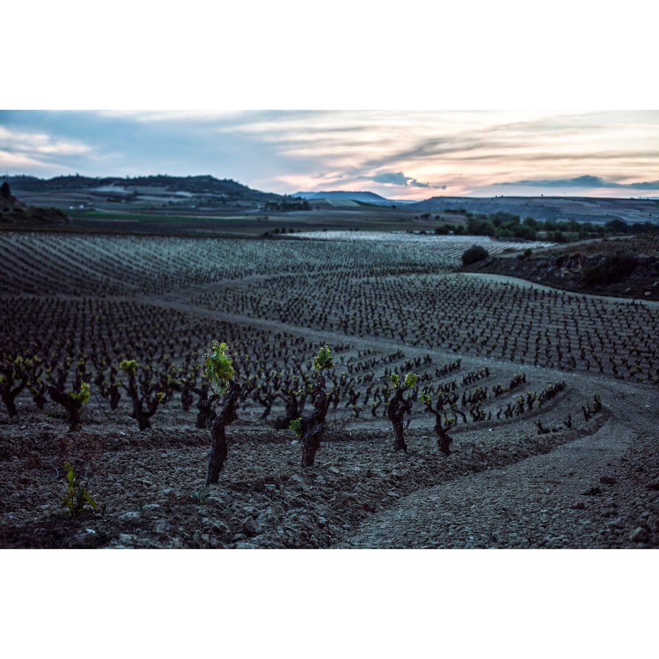 image 1 of Cune Reserva 75Cl