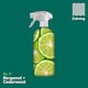 image 4 of INEOS Antibac Multi-Room Spray Bergamot + Cedarwood 750ml