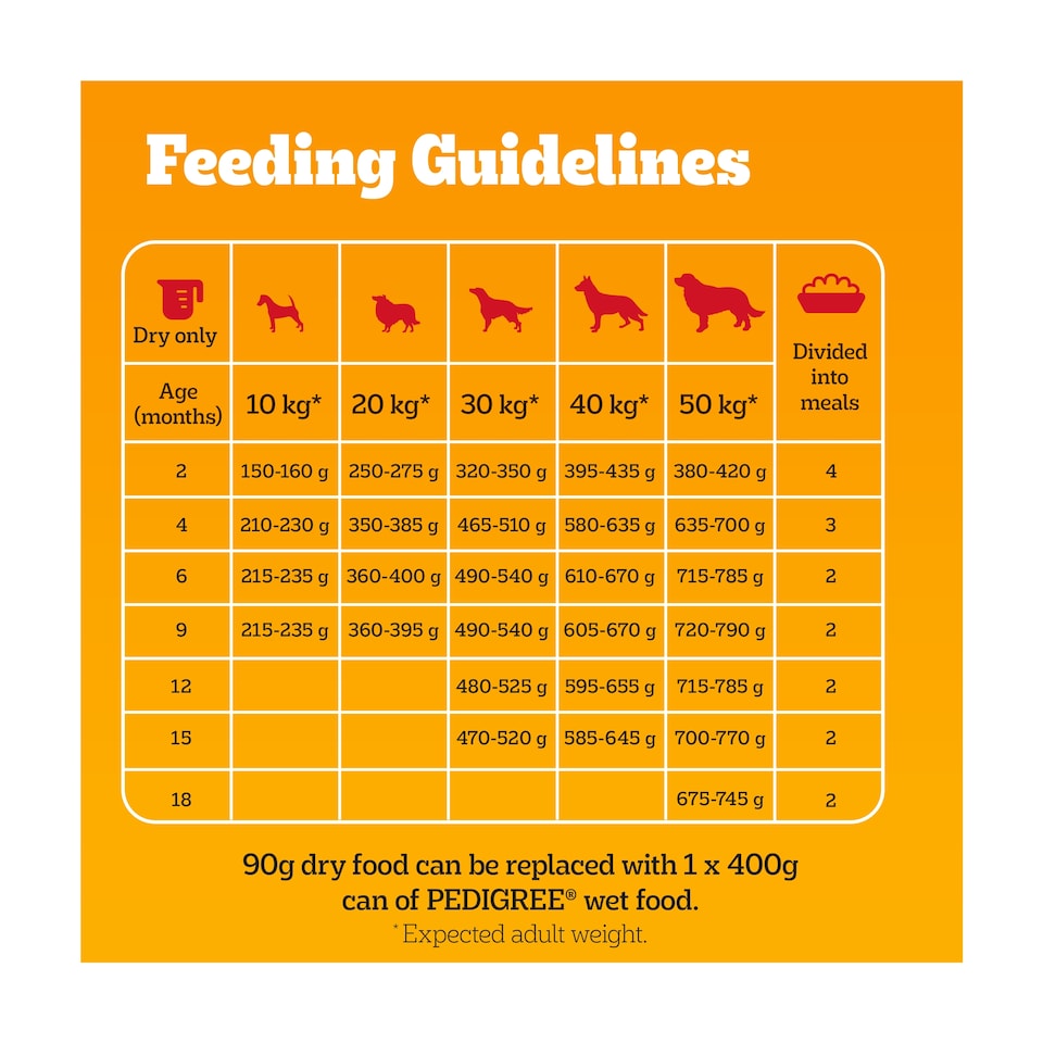image 1 of PEDIGREE Puppy Medium Dog Complete Dry Food with Poultry and Vegetables 3kg 