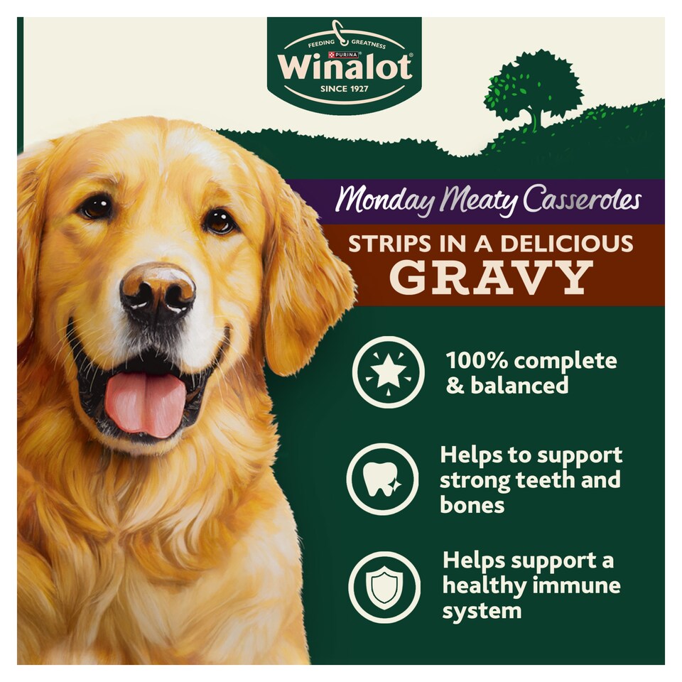 image 1 of WINALOT Monday Meaty Casseroles Chicken, Turkey, Duck in Gravy Wet Dog Food 12 x 85g