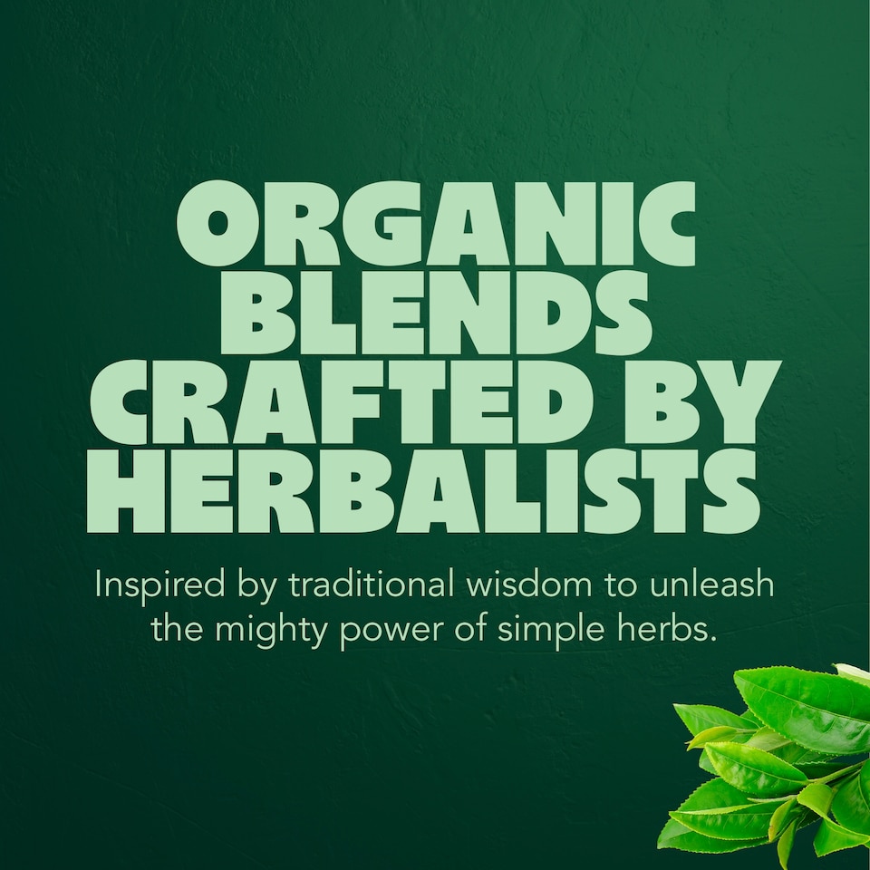 image 1 of Pukka Organic Supreme Matcha Green Herbal Tea 20 Green Tea Bags 30g
