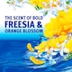 image 4 of Bold Extra Washing Liquid Pods Freesia & Orange Blossom 29 washes 643.8g