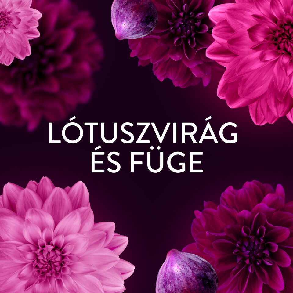 Lenor  Textilöblítő 94 Mosáshoz, Lotus Water & Diamond Figs  1. kép
