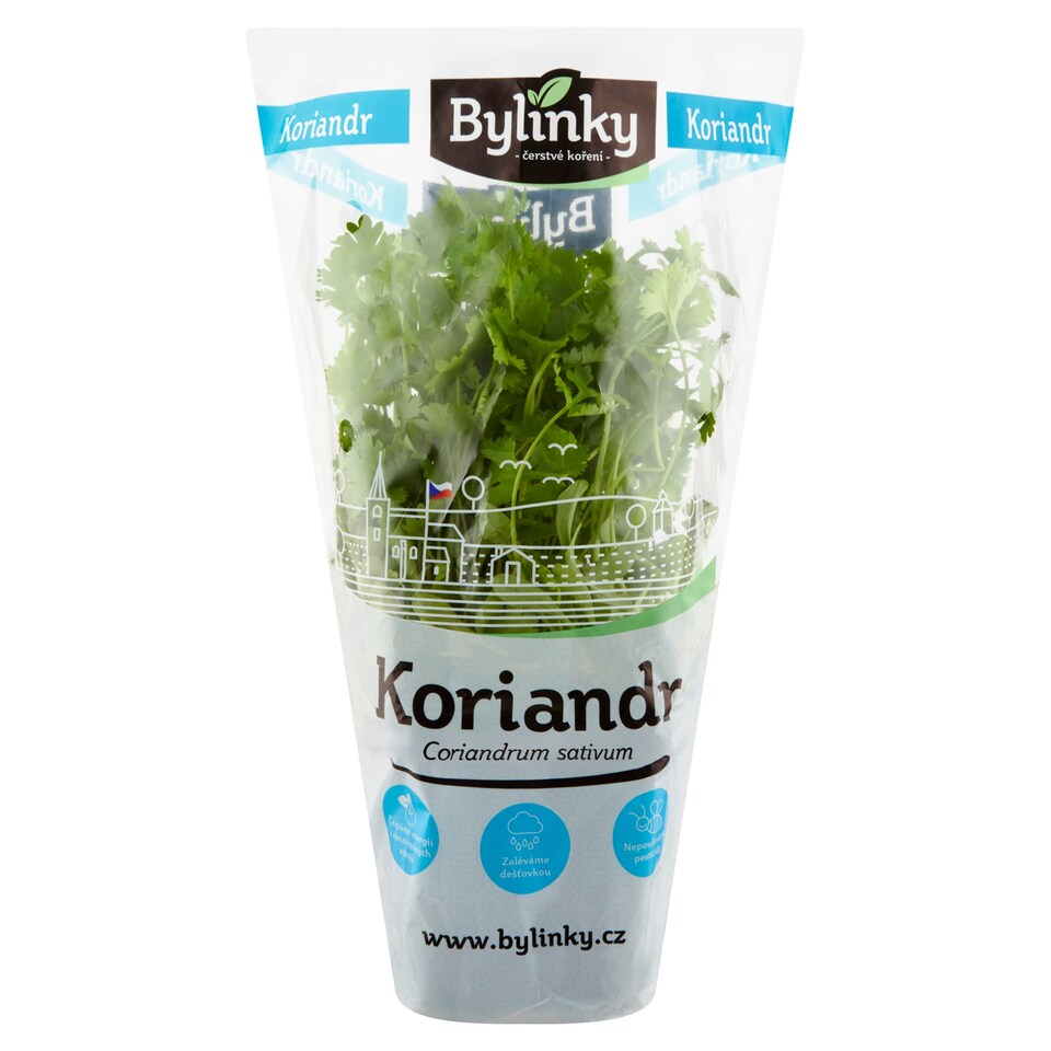 Coriander
