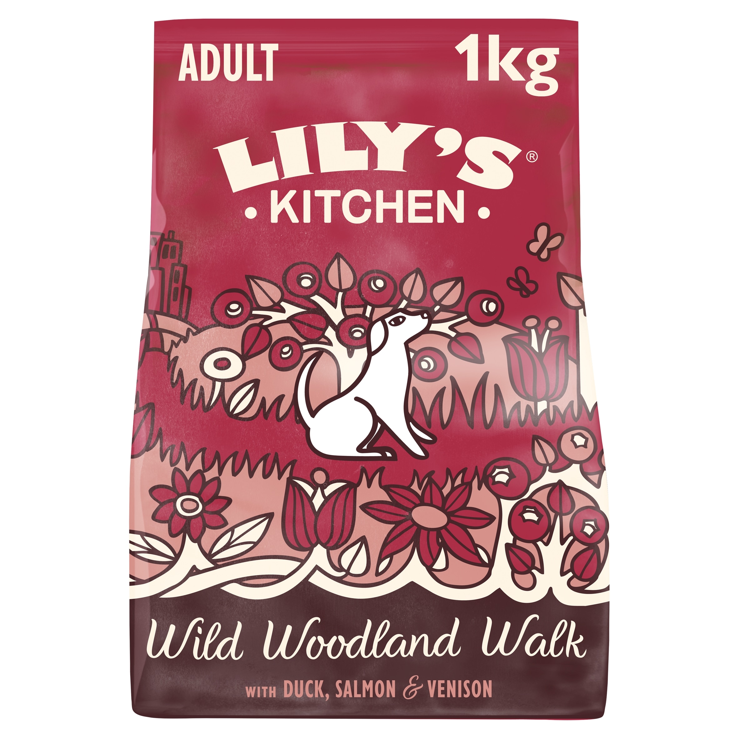 Lily's Kitchen Wild Walk Dry Dog Food 1Kg