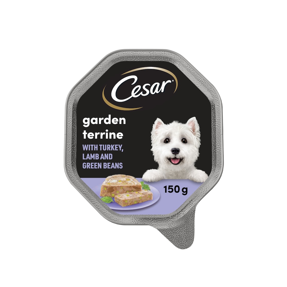 image 1 of Cesar Gnd Terrine Lamb & Turkey Green Beans 150G