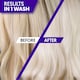 image 3 of Provoke Touch of Silver Intensive Brightening The Original Purple Shampoo 200ml