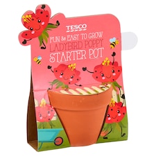 Tesco Ladybird Poppy Starter Pot