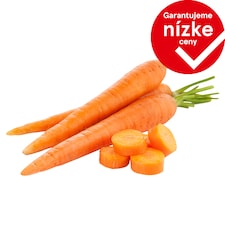 Mrkva voľná