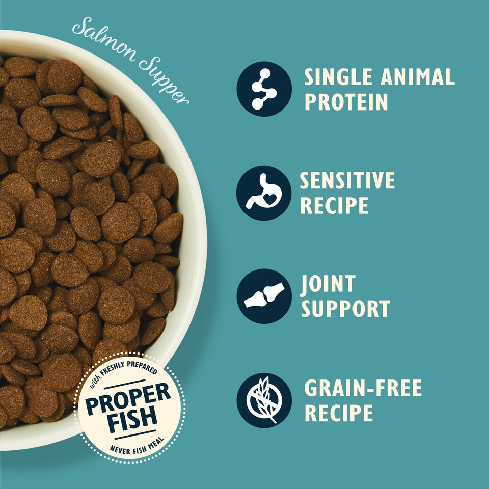 image 1 of Lily's Kitchen Salmon Supper with Sweet Potatoes, Peas & Dill Dog Dry Food 1kg