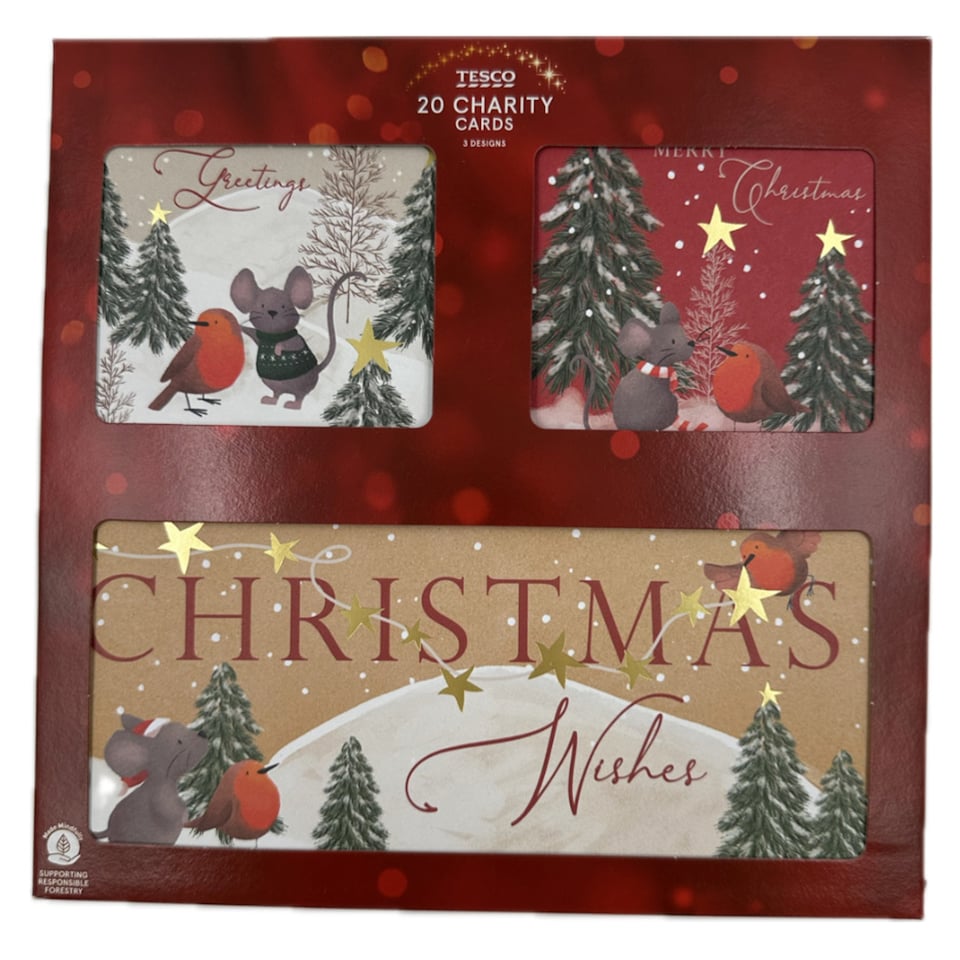 image 1 of Tesco Mouse & Robin Christmas Cards 20 Pack