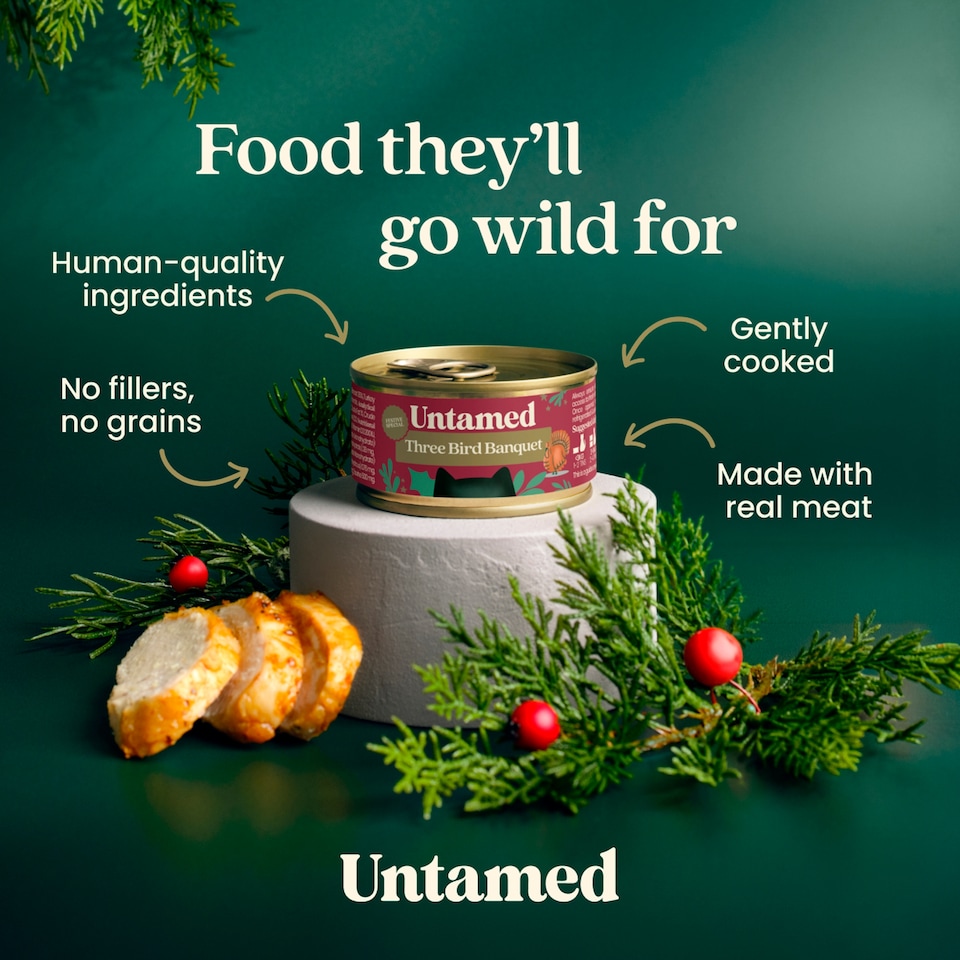 image 1 of Untamed Three Bird Banquet Cat Food 75g