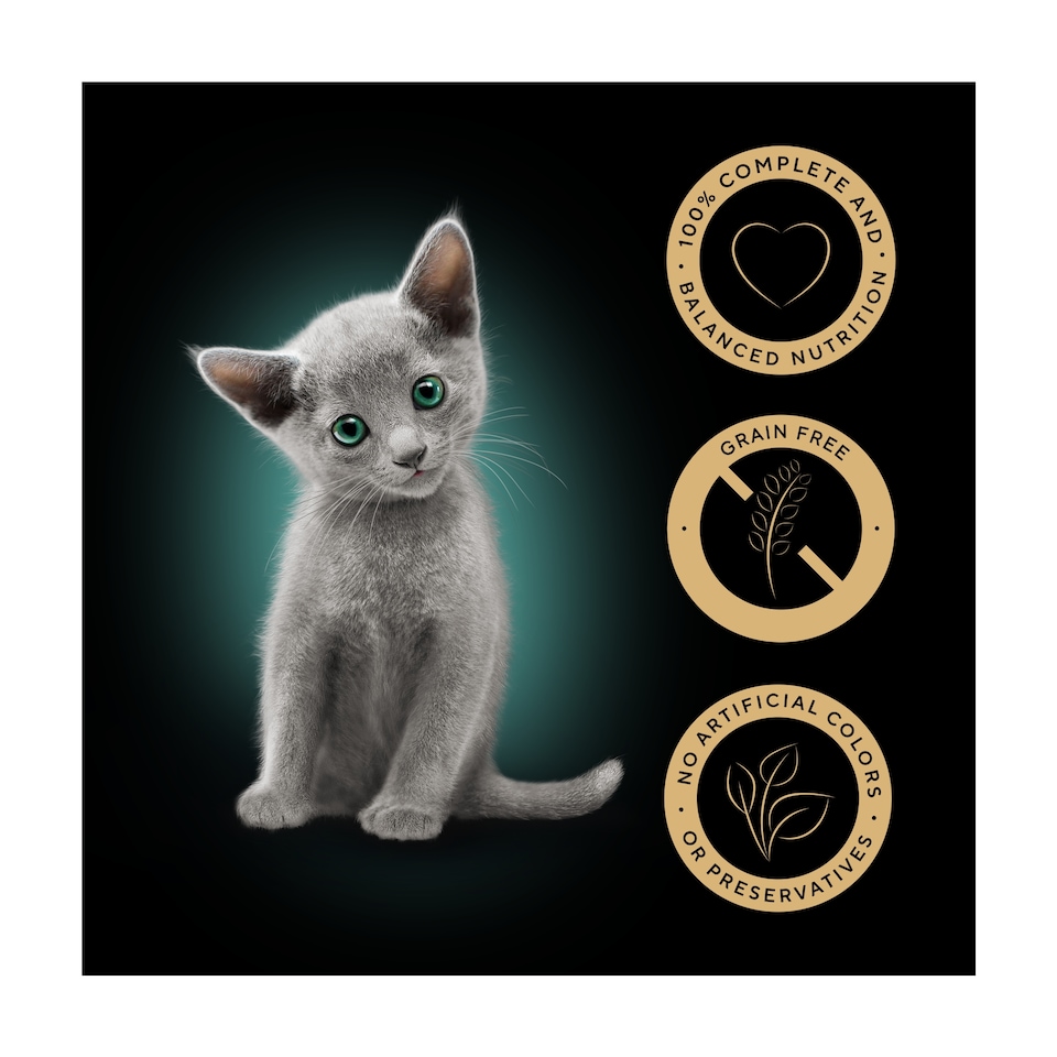 image 1 of Sheba Kitten Wet Cat Food Mixed Selection in Gravy 12x85g