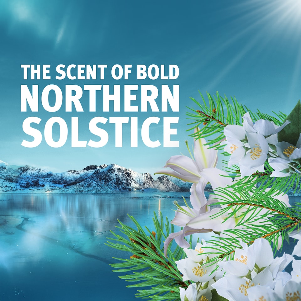 image 1 of Bold Washing Gel Northern Solstice 40 washes 1320ml