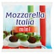 Mozzarella Italia mini 80 g  1. kép
