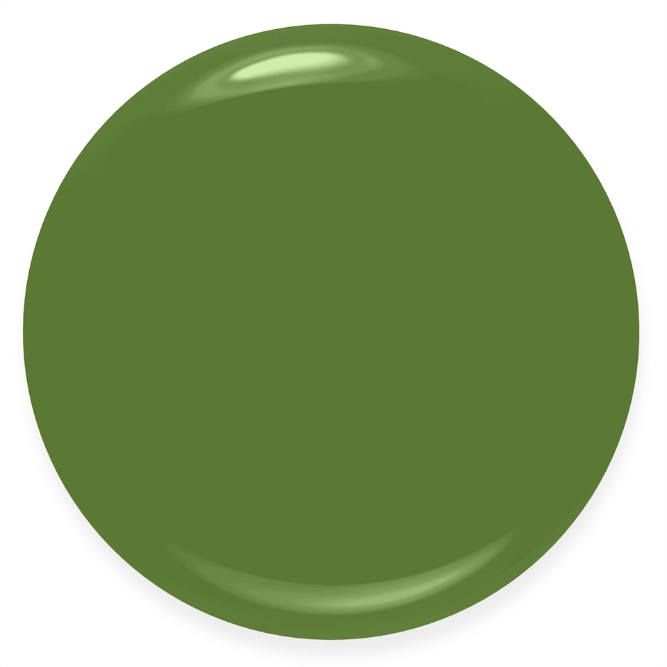 image 1 of Rimmel 60Seconds Nailpolish Grassy Fields 8 Ml