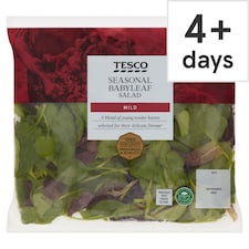 Tesco Seasonal Baby Leaf 100G