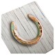 image 2 of Hallmark Blank Card Horseshoe