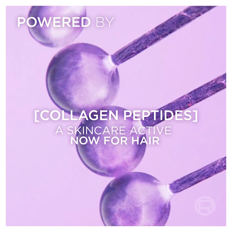 image 1 of L'Oreal Elvive Collagen lifter fiber densifying Conditioner 300Ml