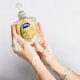 image 2 of Carex Advanced Care Shea Butter Handwash 250Ml
