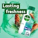 image 2 of Dettol Antibacterial Limescale Washing Machine Cleaner 250ml
