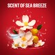 obrázok 4 z Old Spice Deep Sea 3 v 1 Sprchový Gél a Šampó Pre Mužov 675ml