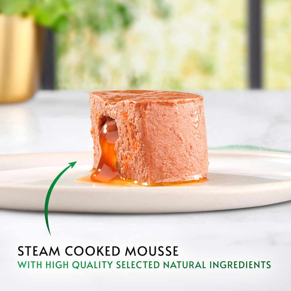 image 1 of GOURMET Nature's Creations Gravy Heart Chicken Ocean Fish Wet Cat Food 8x85g