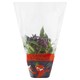 image 1 of Tesco Chili Peppers
