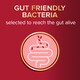 image 4 of Seven Seas Omega-3 & Gut Friendly Bacteria 30 Capsules 