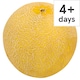 image 1 of Tesco Galia Melon Each