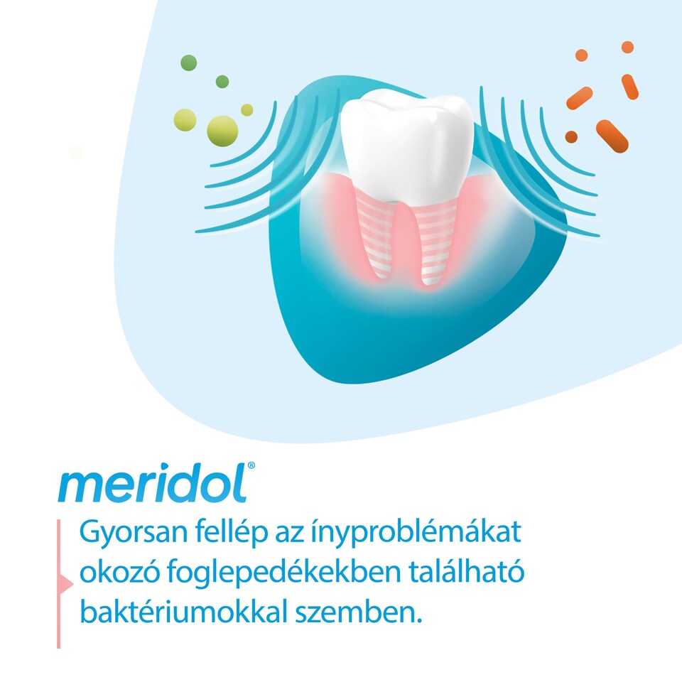 meridol Gum Protection fogkrém az íny védelmére és ínyvérzés ellen 75 ml  1. kép