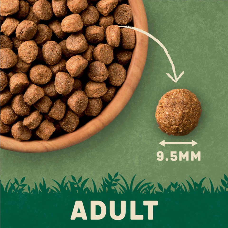 image 1 of Harringtons Adult Dog Food Turkey & Vegetable 4Kg