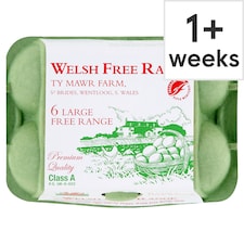 Ty Mawr Farm Welsh Free Range Large Eggs 6 Pack