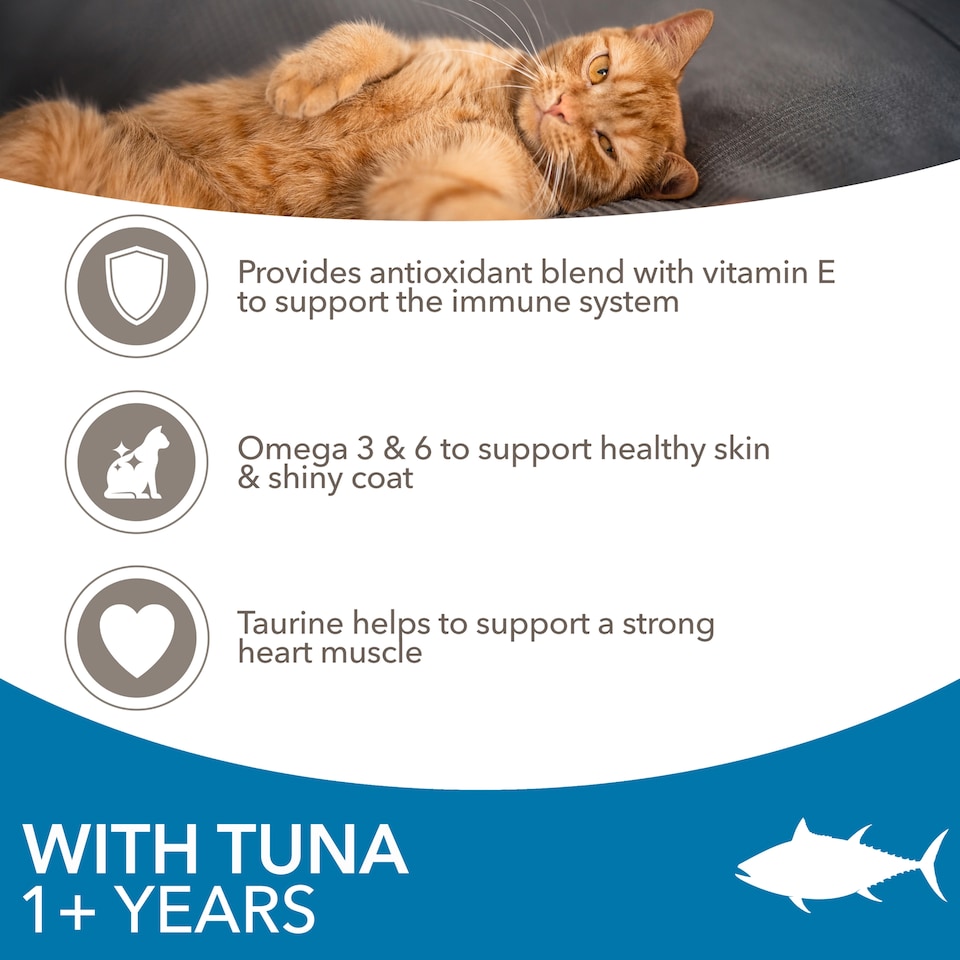 image 1 of IAMS Adult Dry Cat Food Tuna 800g