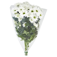 All Fresh Flowers