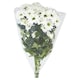 image 1 of Bouquet of Chrysanthemums