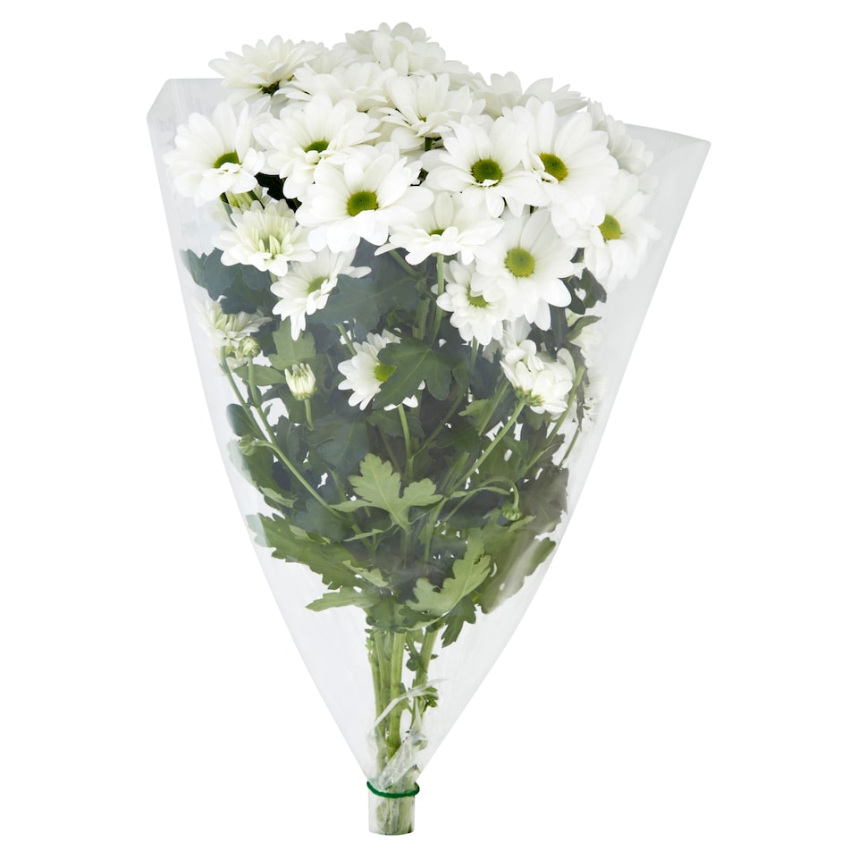 image 1 of Bouquet of Chrysanthemums