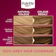image 4 of Palette Deluxe Permanent Hair Dye - 7-0 Midway Blonde 