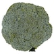 image 1 of Tesco Large Broccoli Pack 500G