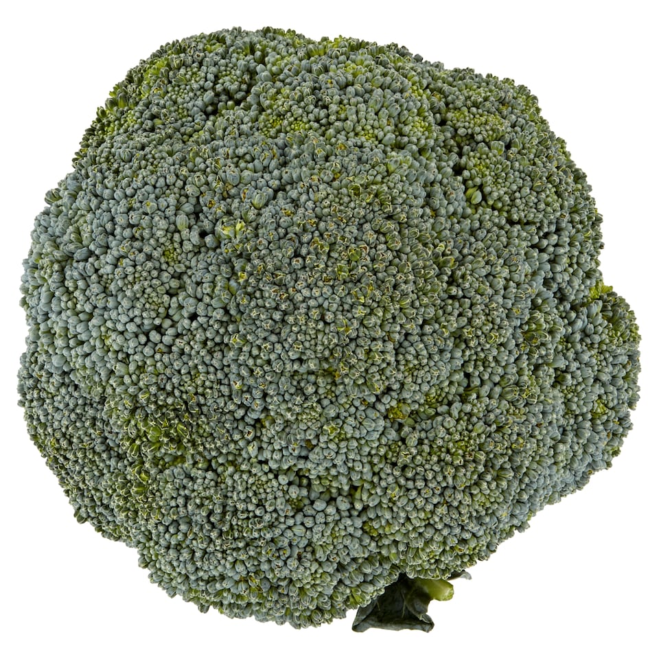 image 1 of Tesco Large Broccoli Pack 500G