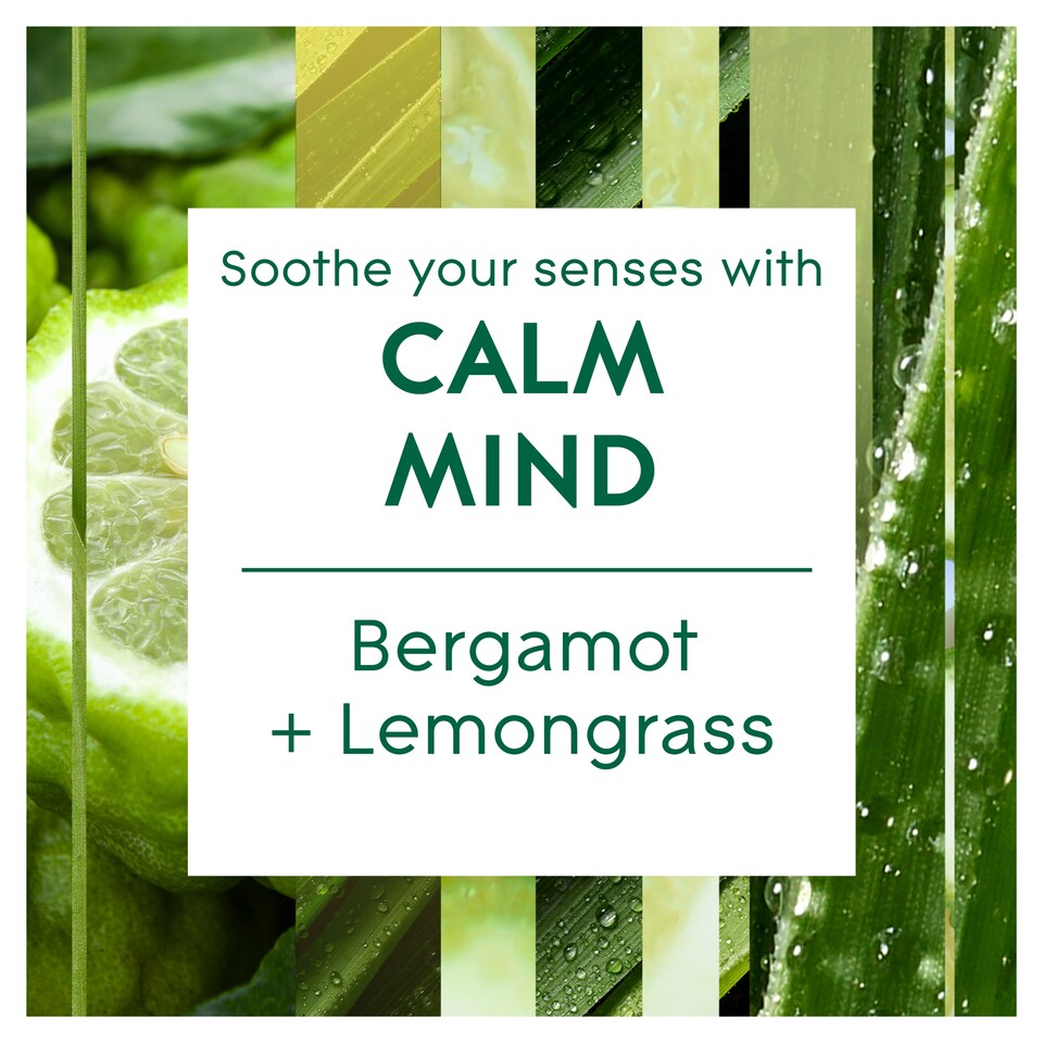 image 1 of Glade Aromatherapy Reed Diffuser Calm Mind 80Ml