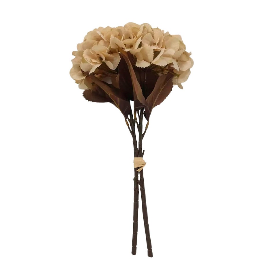 Bayswood Cream Hydrangea Stems Set of 2