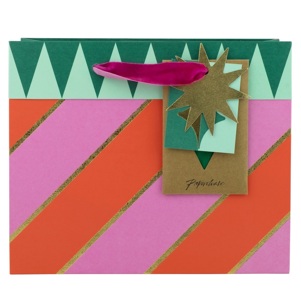 Paperchase Christmas Medium Gift Bag 