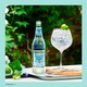 image 3 of Fever-Tree Refreshingly Light Indian Tonic Water Bottle 500ml
