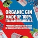 image 2 of Engine Organic Gin 700Ml