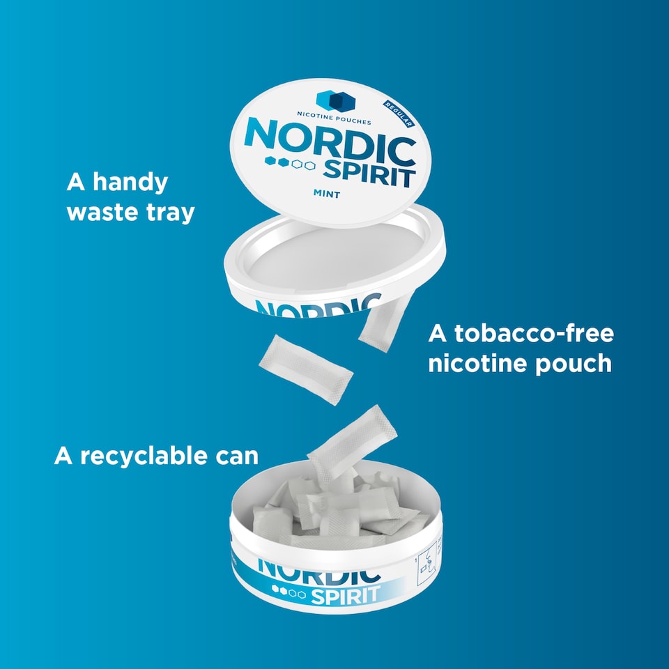 image 1 of Nordic Spirit Mint Regular 6Mg Pouches X 20