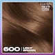 image 4 of CLAIROL NICE'N EASY TONE+GLOSS SEMI PERMANENT HAIR DYE - 600/755 LIGHT BROWN