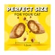 image 3 of Dreamies Cat Treat Biscuits with Beef 60g